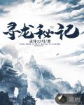 寻龙秘记