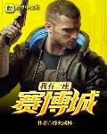 我有一座赛博城