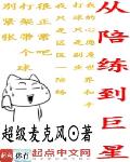 从陪练到巨星