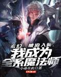 玄幻：被迫入赘，我成为全系魔法师