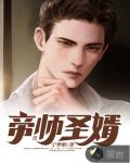 帝师圣婿