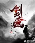 剑出大魏